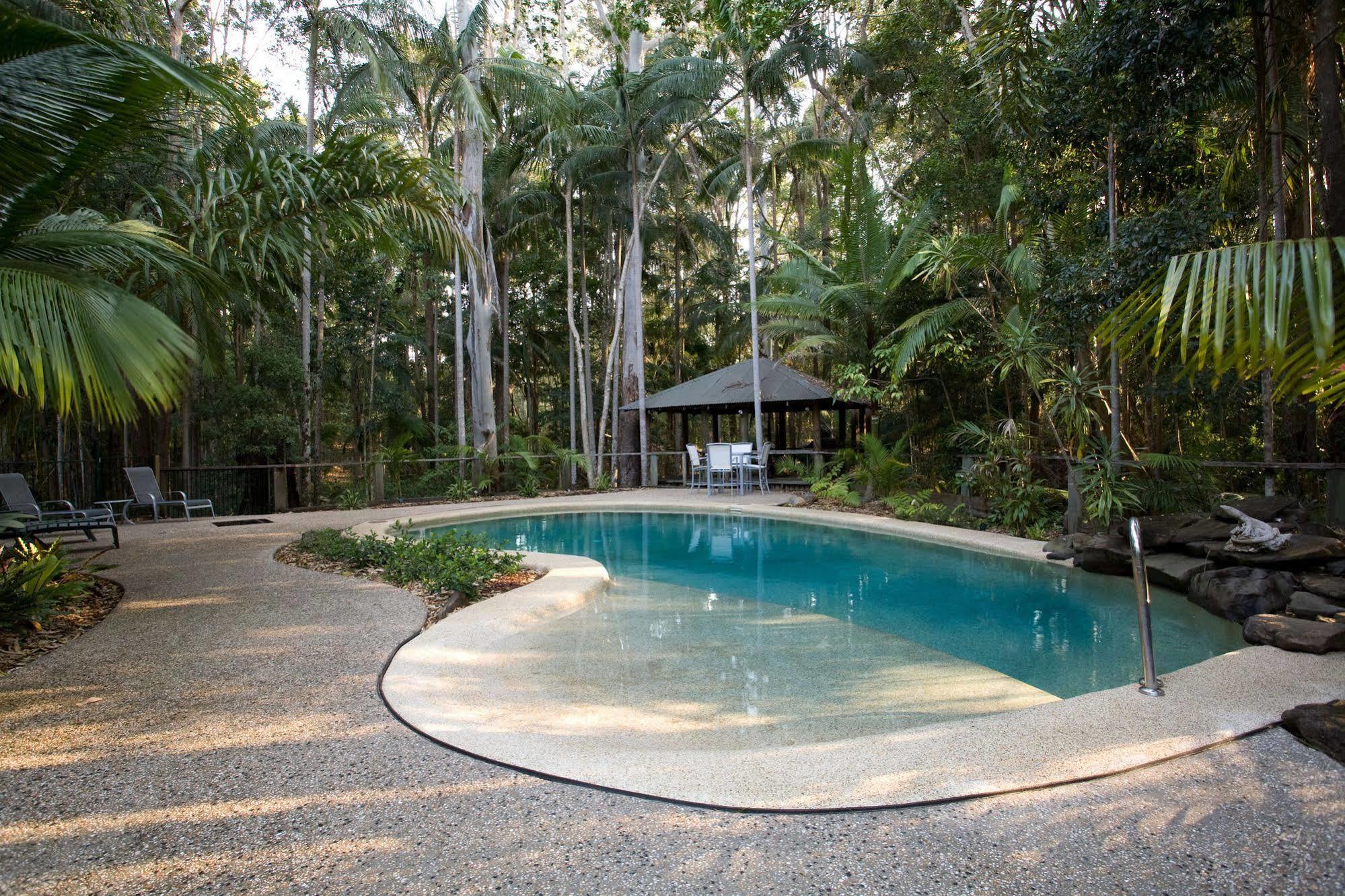 Amore On Buderim Rainforest Cabins Sunshine Coast Exteriör bild
