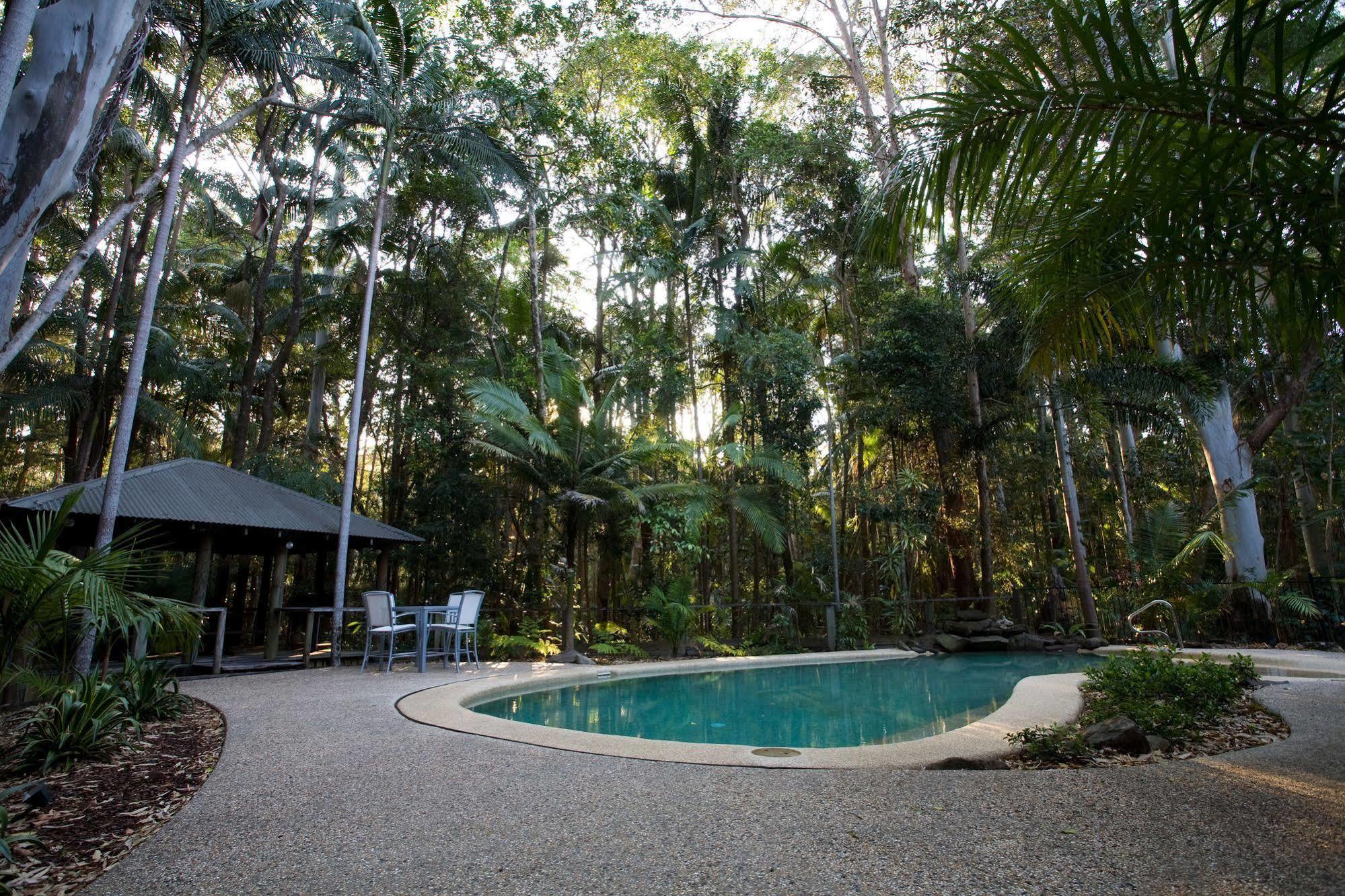 Amore On Buderim Rainforest Cabins Sunshine Coast Exteriör bild